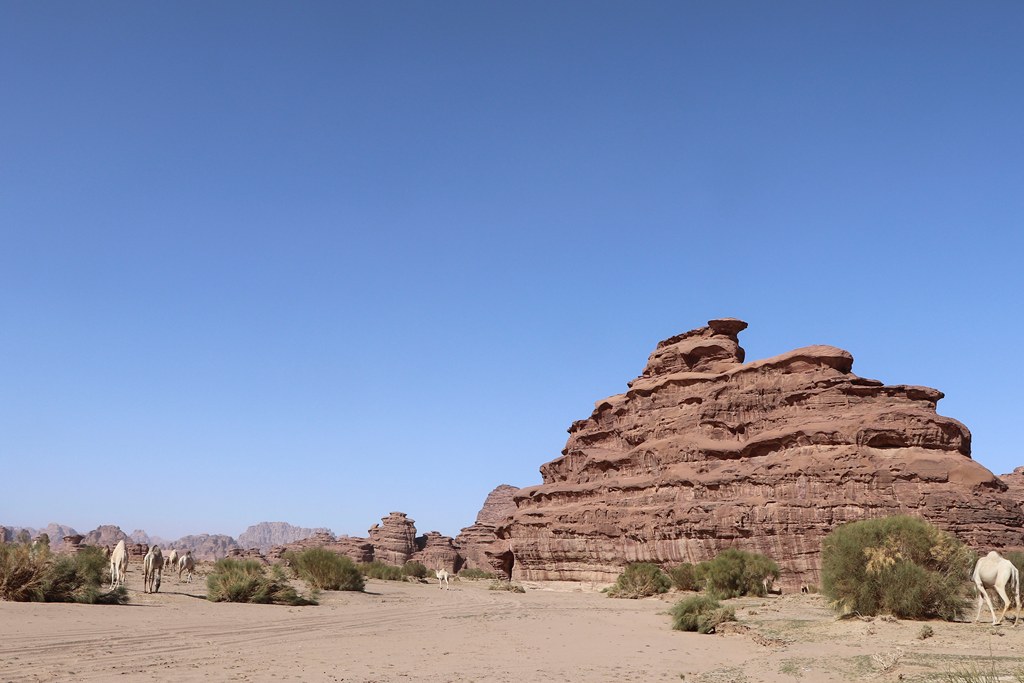 Hisma Desert