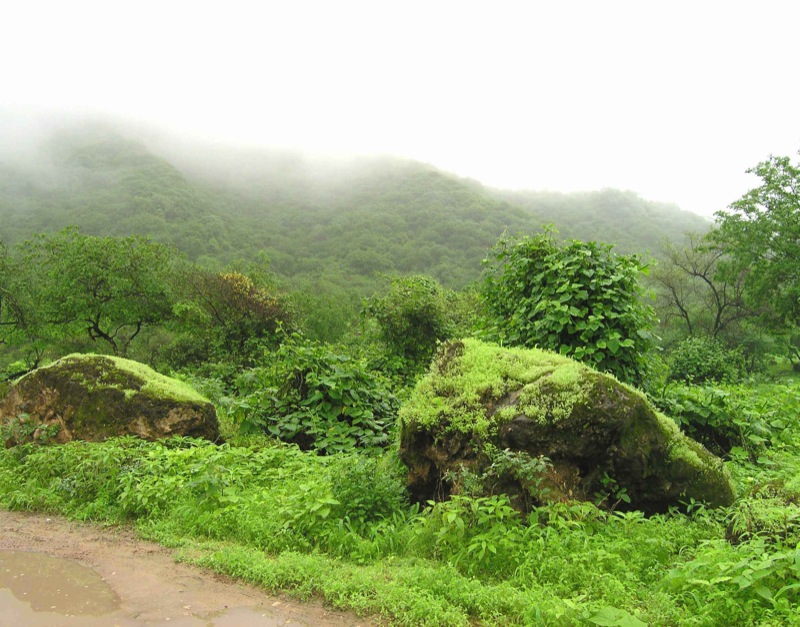 Jabal Al Qarah