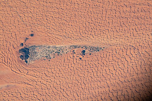 Tents at the edge of red dunes