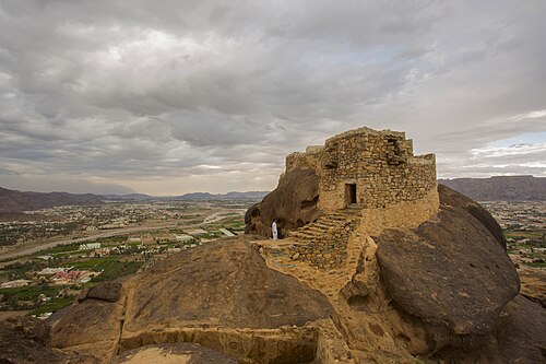 Mud towers of Najran