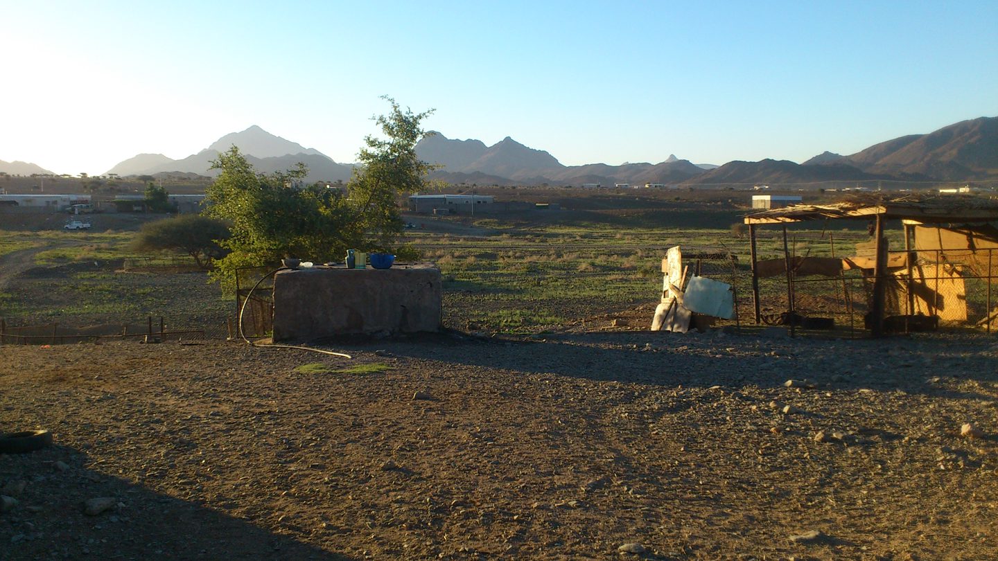 Spring in the Tabuk desert