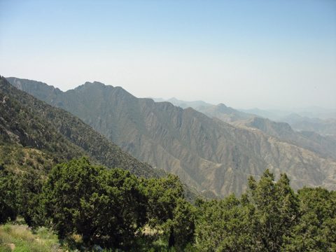 Rijal Almaa & Al-Qatt art
