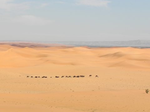 Desert of northern Saudi Arabia