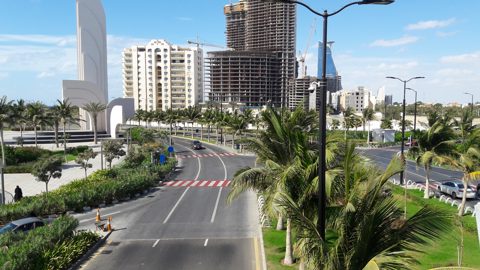 Palm-lined hotel beach