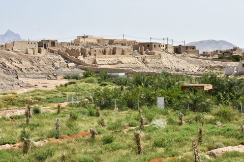 Yanbu al-Nakhl